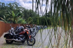 131372682_3571448882938229_7181373820261205319_n