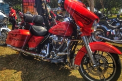 31939828_1716254115124391_4658488418785820672_n